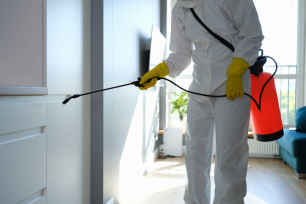 Attic Mold Removal in De Pere, WI