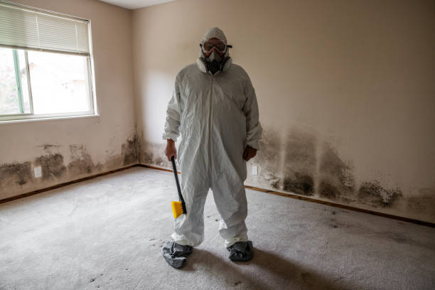 Best Attic Mold Removal  in De Pere, WI